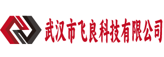 武汉市飞良科技有限公司